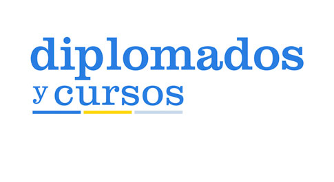 Logo Diplomados y Cursos 17