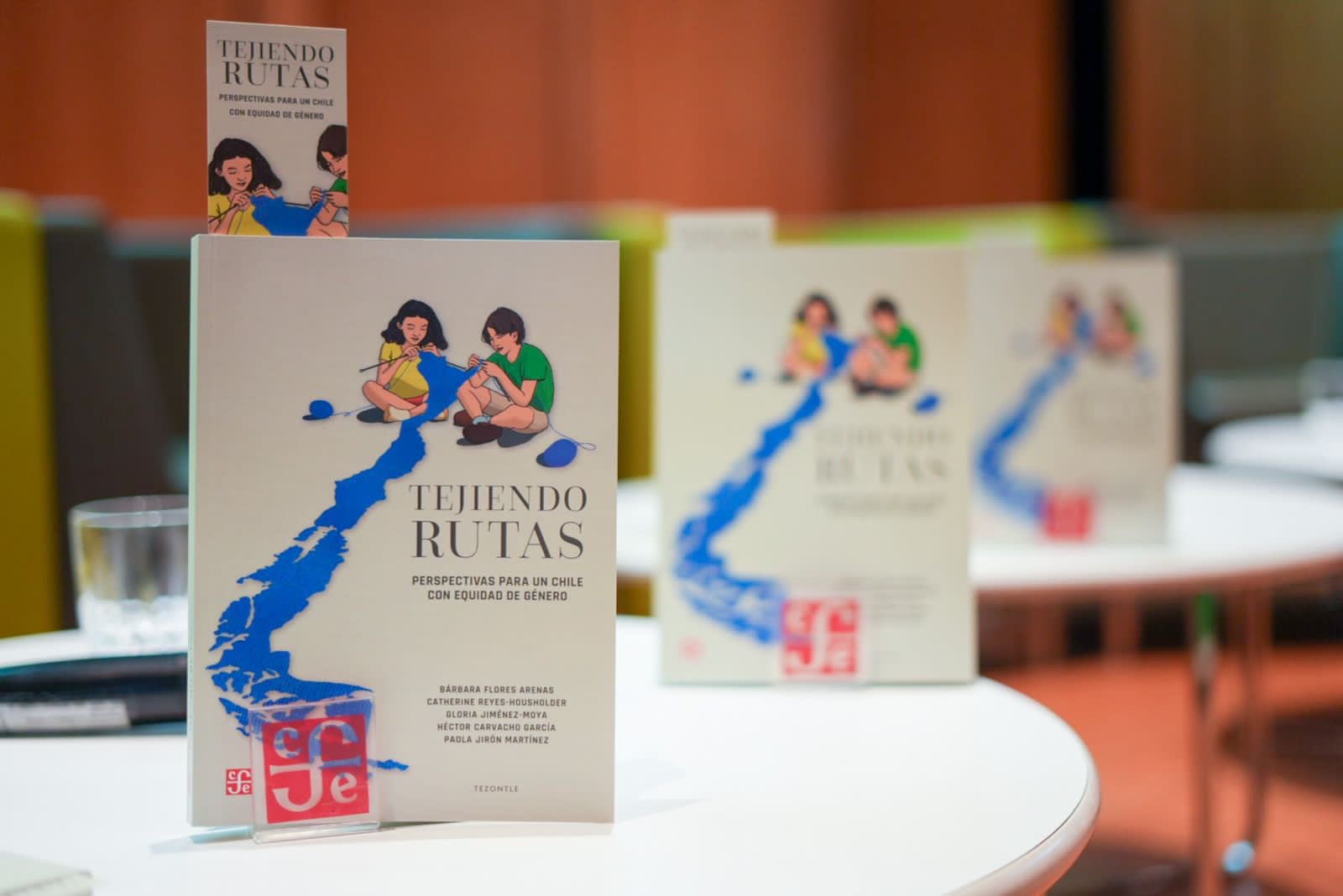 Profesora Catherine Reyes-Housholder participa en libro que expone las ...